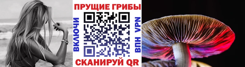 Галлюциногенные грибы мухоморы  Купить где  Нижняя Салда 
